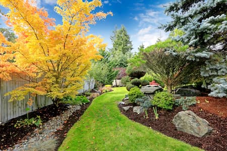 Top Signs Your Landscape Needs Fertilization